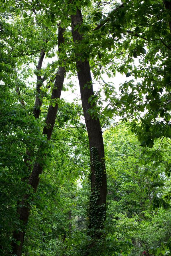 Buitenplaats Petersburg Arnhem Bagian luar foto